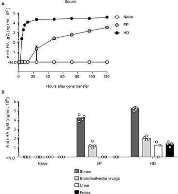 Frontiers Neutralizing Antibodies Induced by Gene Based